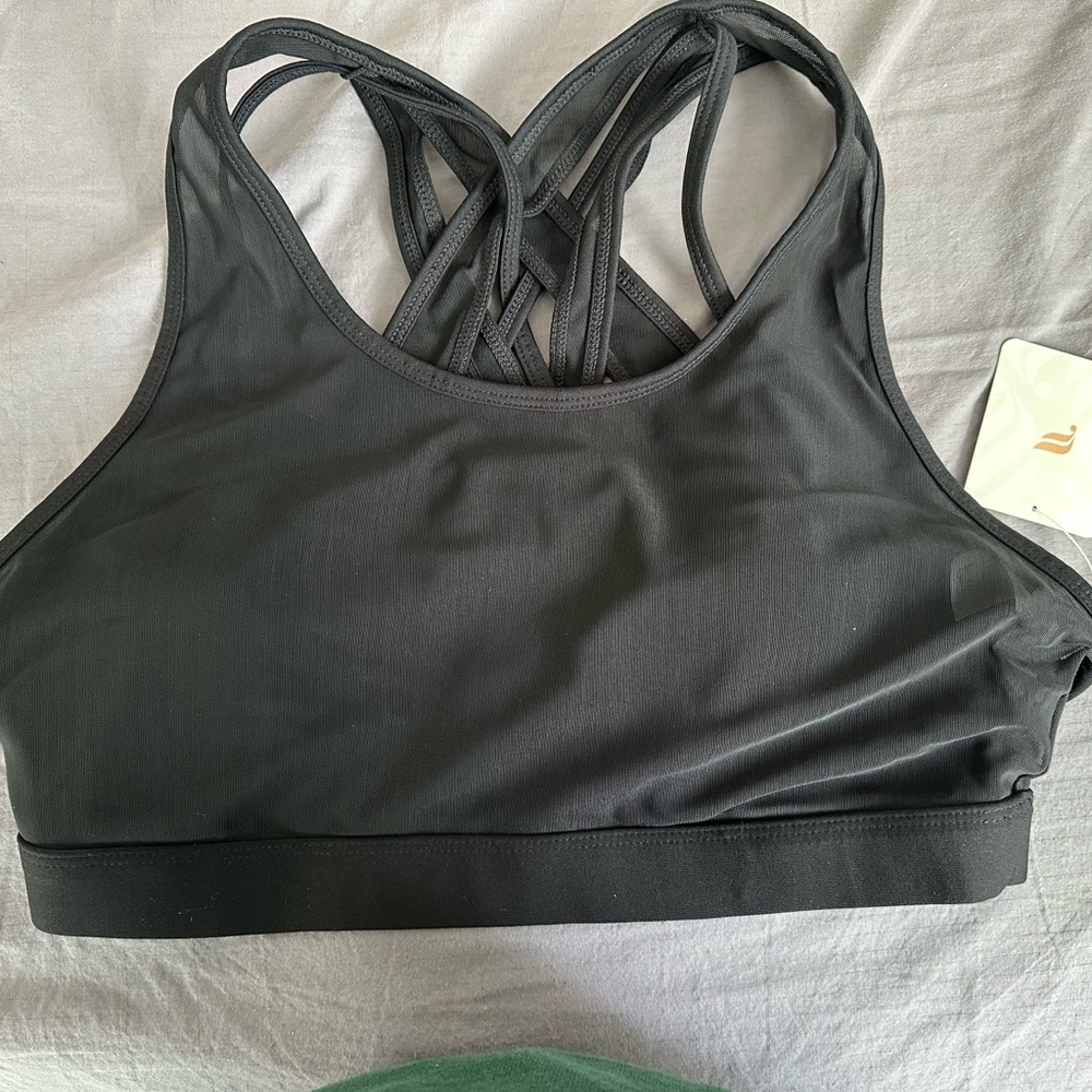 Fabletics Charcoal Sports Bra